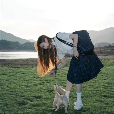 鳄鱼先生